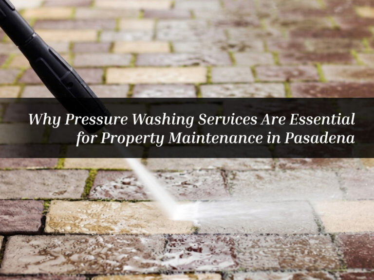 Pressure Washing Services