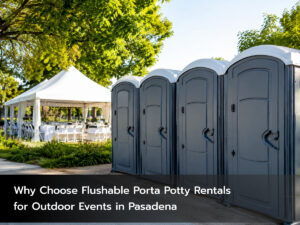 Flushable Porta Potty Rentals